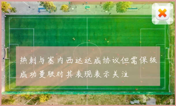 热刺与塞内西达达成协议但需保级成功曼联对其表现表示关注